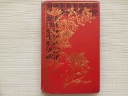 livres-anciens-pour-enfants-lecene-et-oudin-societe-francaise-d-editions-d-art-hetzel-emile-gaillard