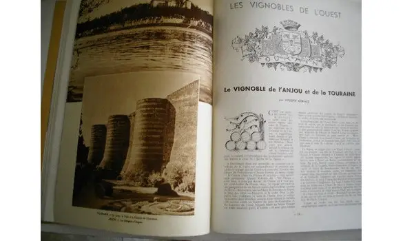 La vigne et le vin/Revue 1937