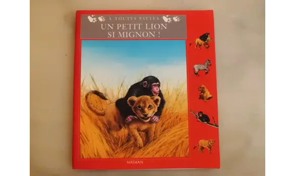Un petit lion si mignon à toutes pattes