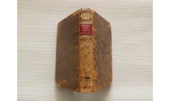 Alfred ou le jeune voyageur en France