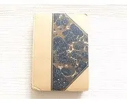 La dépouille du Lion H. Van Offel