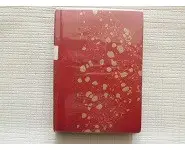 L'homme à l'hispano Pierre Frondaie