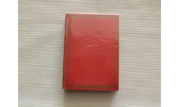 Dans les rues, J.H. de Rosny Ainé N°13