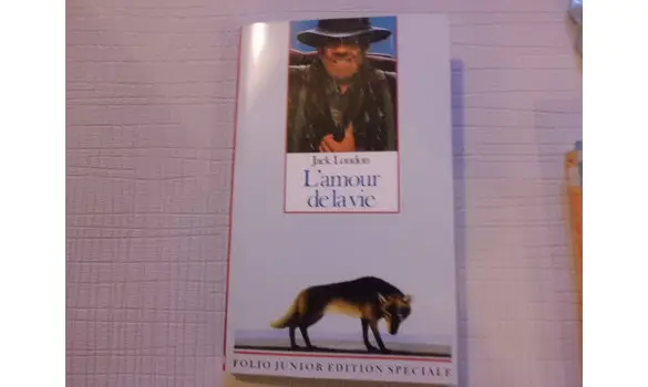 L'amour de la vie Folio junior