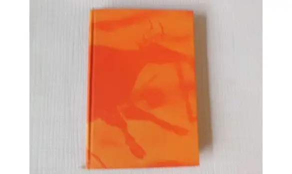 La guerre du feu J-H Rosny Ainé