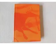 La guerre du feu J-H Rosny Ainé