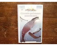 Grands animaux sous la mer