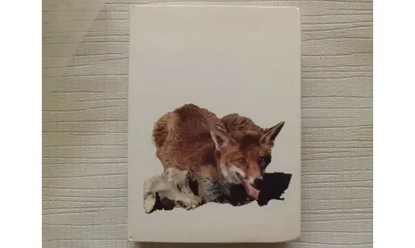 Le roman de renard Maurice Génevoix