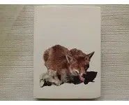 Le roman de renard Maurice Génevoix