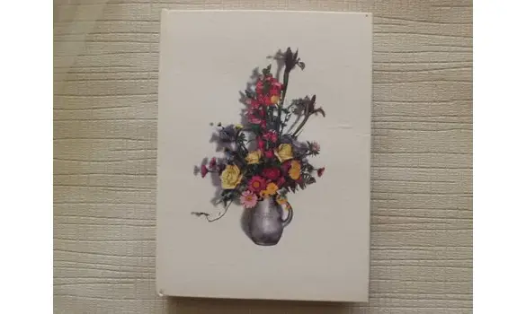 Mirage de la vie Fanny Hurst