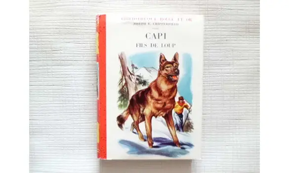 Capi fils de loup J.E. Chipperfield