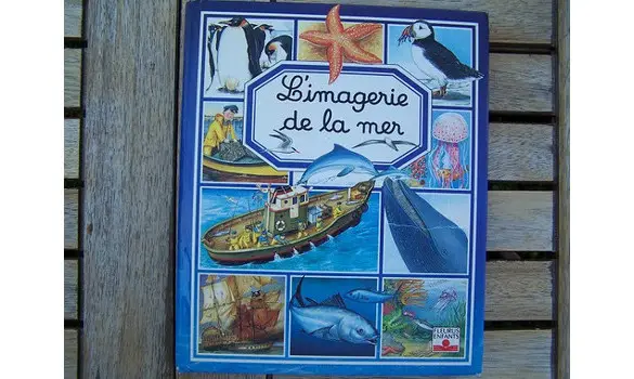L'imagerie de la mer Fleurus 1994
