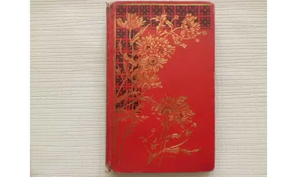 La niece du millionnaire V. Delcroix