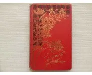 La niece du millionnaire V. Delcroix