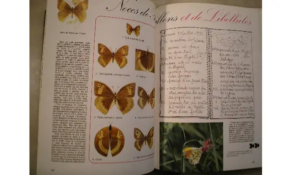 Ce que dit la nature au fil de l'eau