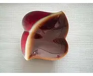 Ravier/Vide-poche VERCERAM N° 6702