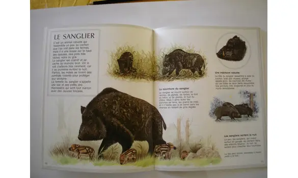 Les animaux de la forêt	