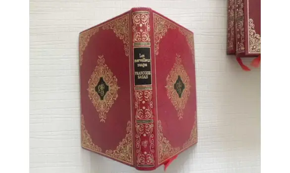 Les merveilleux nuages F. Sagan