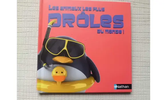 Les animaux les plus drôles du monde