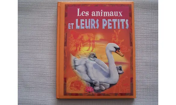 Les animaux et leurs petits Art's Books
