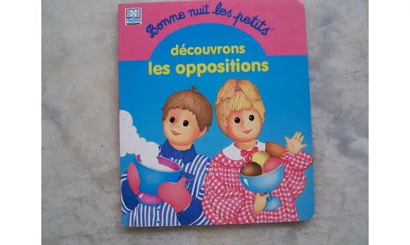 Bonne nuit les petits Livre en carton