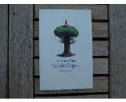 La toile d'argent- Jean-François Chabas