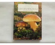Les champignons /Guillot/Nathan