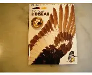 Le nid, l'oeuf et l'oiseau/Découverte