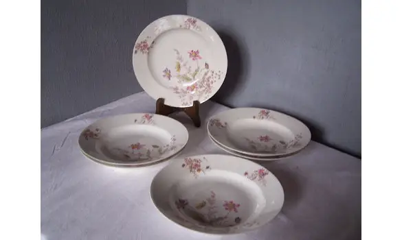 6 Assiettes à soupe Porcelaine Redon