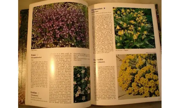 Les plantes alpines/Collection Floraisse