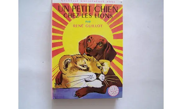 Un petit chien chez les lions, Mini-rose