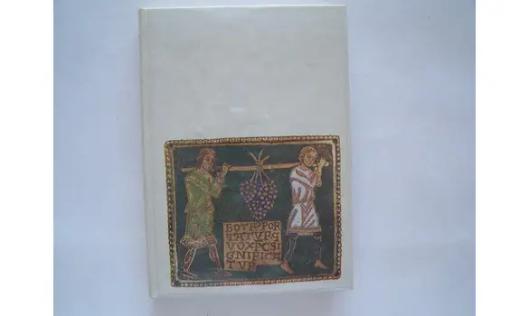 Les raisins verts-Pierre-Henri Simon