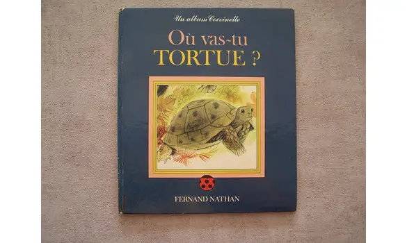 Où vas-tu tortue? Romain Simon