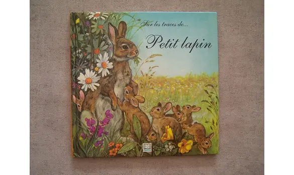 Sur les traces de petits lapin