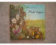 Sur les traces de petits lapin