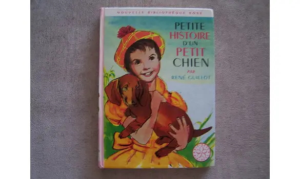Petite histoire d'un petit chien.