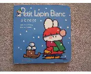 Petit lapin blanc à la neige