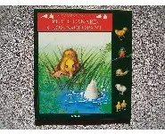 Petit canard clopin-clopantNathan