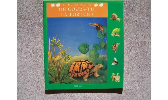Où cours-tu la tortue? à toutes pattes