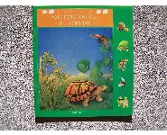 Où cours-tu la tortue? à toutes pattes