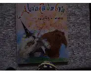 Abracadabrac-Schubert-Grasset 1996