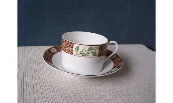 Déjeuner porcelaine couleuvre