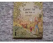 Camille a des doutes-Simon James