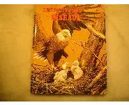 Les oiseaux et leurs petits M. Bizet