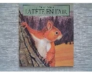 Tête en l'air l'écureuil-Archimède