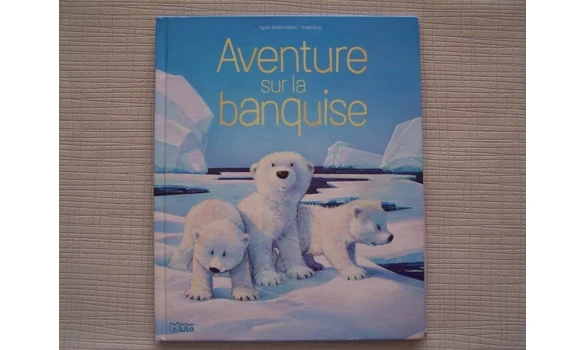 Aventure sur la banquise-Agnès Berton
