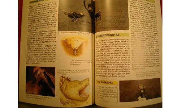 De l'alimentation à la digestion/Hemsley