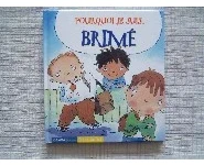 Pourquoi je suis brimé-école active
