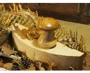 Boite champignon-bois tourné-frêne acaci