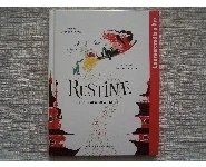 Rustine sorcière ordinaire